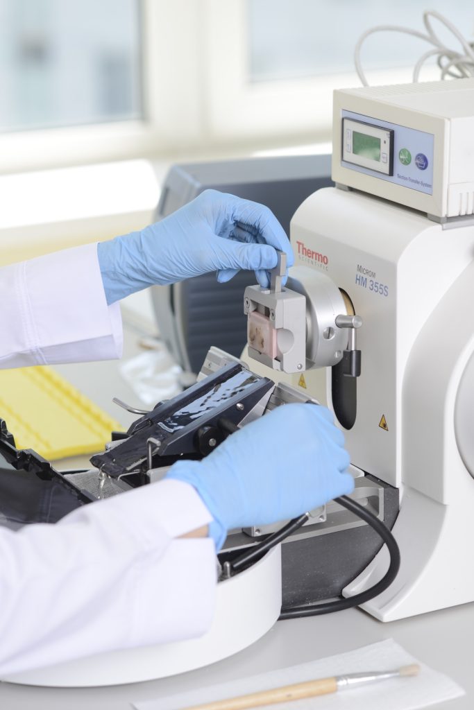 中京臨床検査センターについて